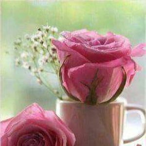 Meet your Posher, Alejandra